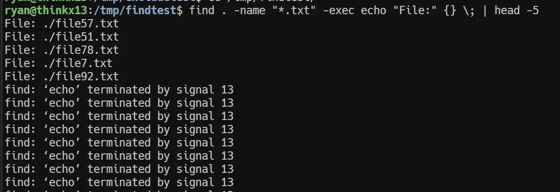 find-semicolon-sigpipe-febryan-web